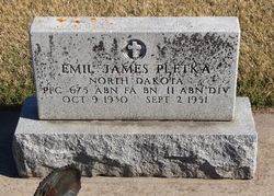 Photo of Emil Pletka's grave marker.