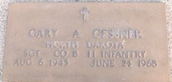 Photo of Gary Gessner's bronze military grave marker set into the ground. 