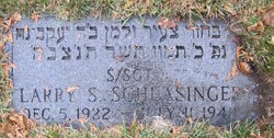 Staff Sergeant Larry S Schlasinger grave marker photo