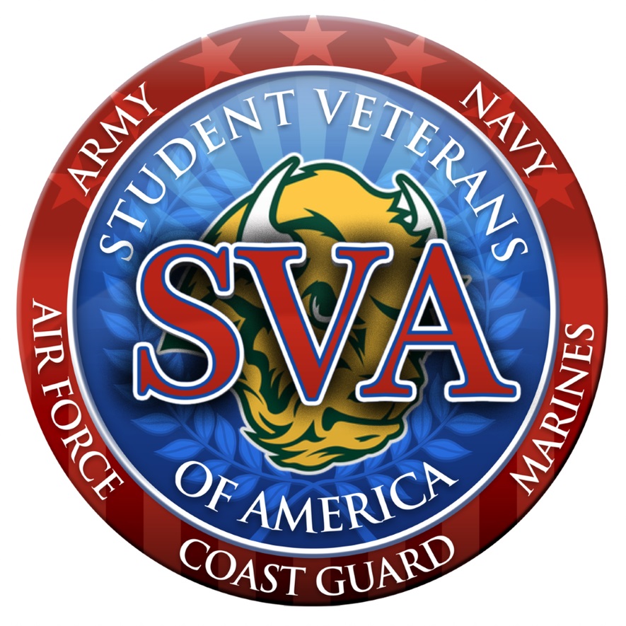 bsv logo
