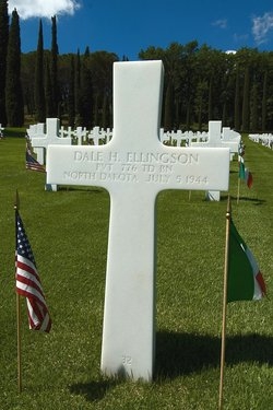 Dale H. Ellingson photo