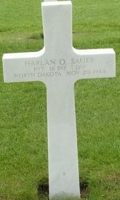 Harlan O. Sauer photo