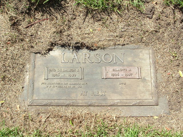 Damon J. Larson photo