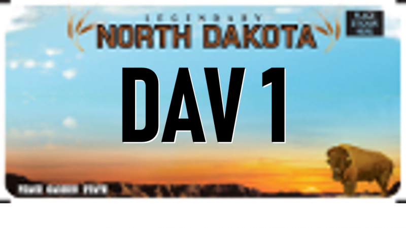 DAV plate image